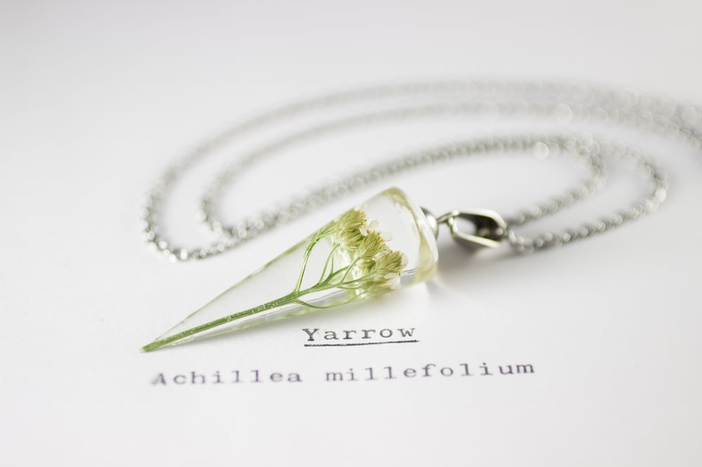 Image of Yarrow (Achillea millefolium) - Conical Pendant #2
