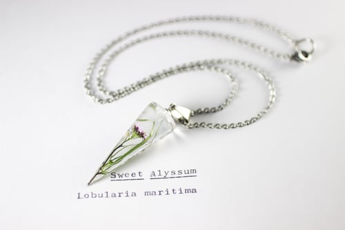 Image of Sweet Alyssum (Lobularia maritima) - Cone Pendant #1