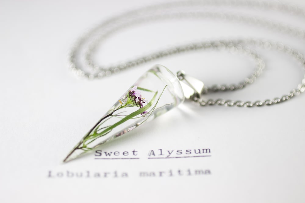 Image of Sweet Alyssum (Lobularia maritima) - Cone Pendant #1