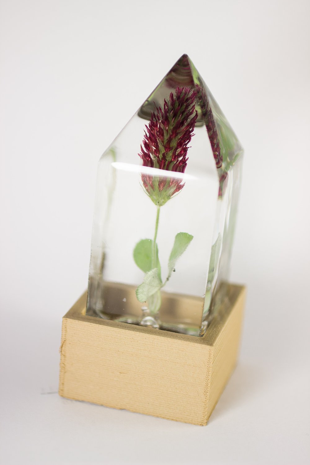 Image of Crimson Clover (Trifolium incarnatum) - Floral Prism Nightlight