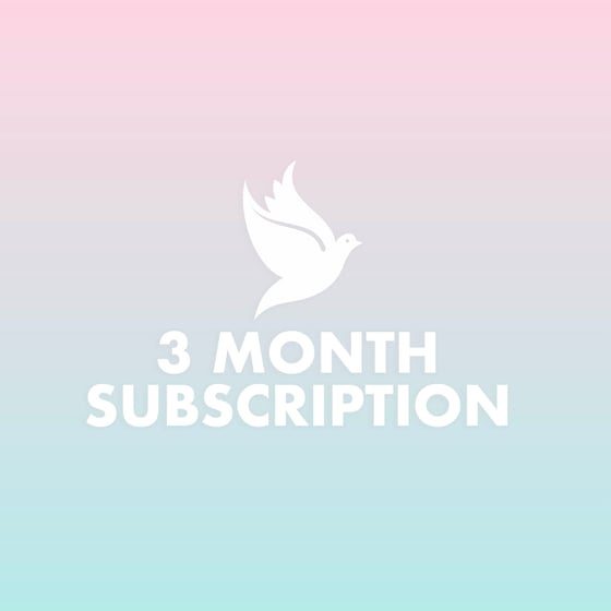 Image of 3 MONTHS SUBSCRIPTION 