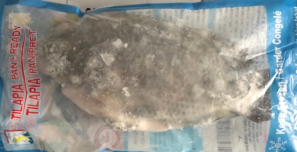 Image of Tilapia 550g - 750g