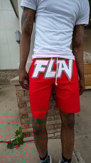 Image of Red FLAV shorts