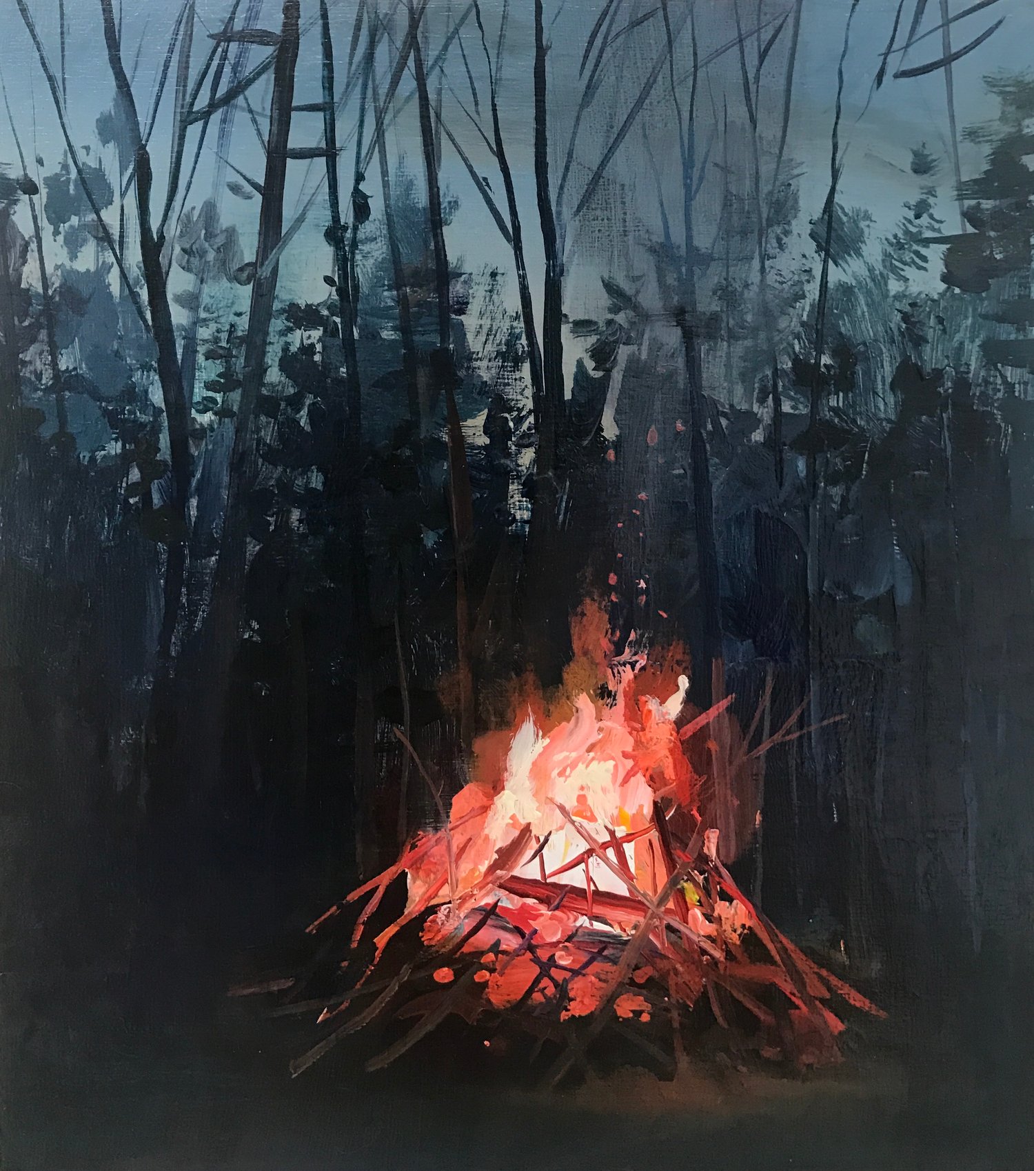 Image of Birch Burn