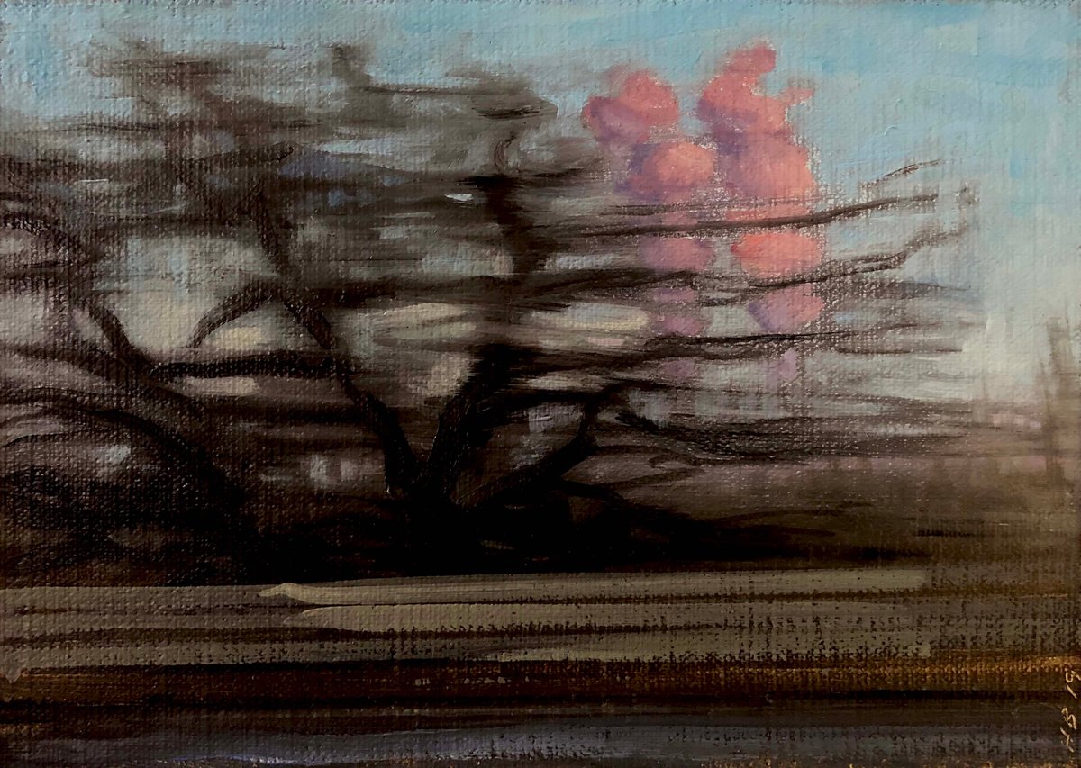 Image of Pink Steam, Edison Plant