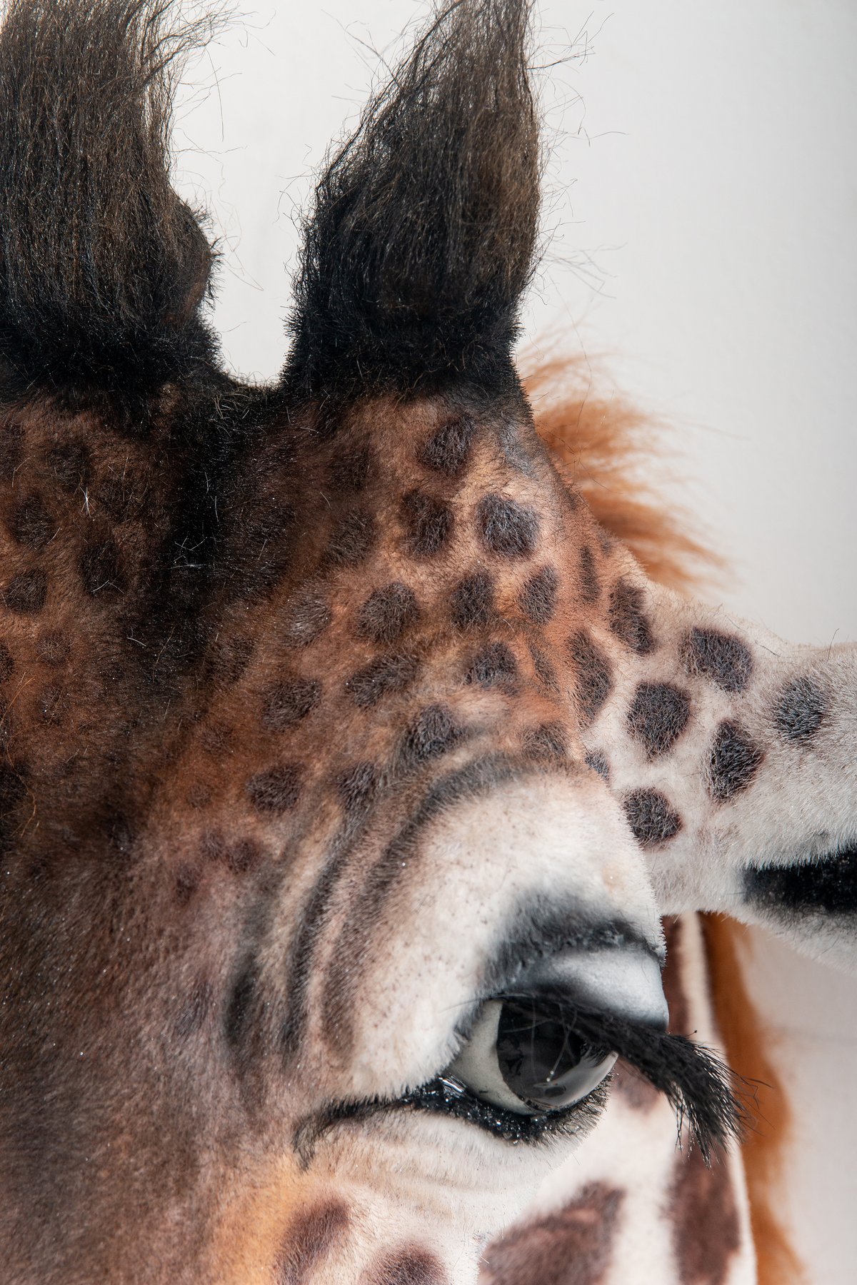 Image of Baby Giraffe Sculpture