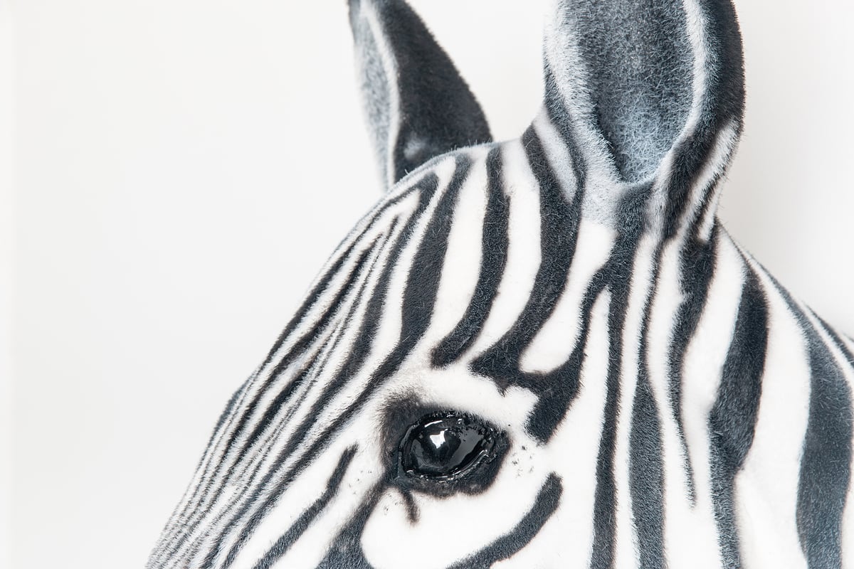 Image of Zebra Sculpture