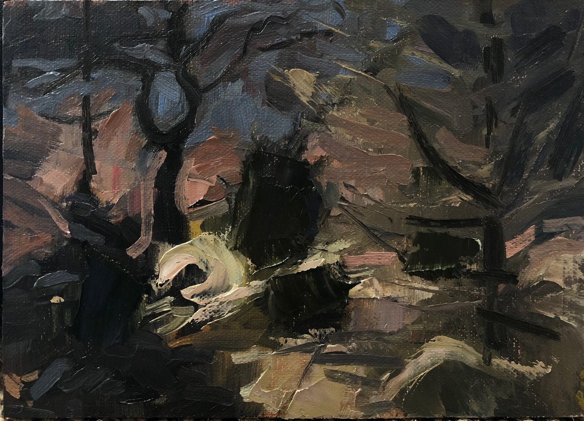 Image of View From Front Porch, January