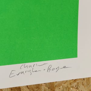 Image of Do You Like Pineapples? by Charlie Evaristo-Boyce