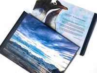 Image 1 of Antarctica - A Creative Journey (Book)