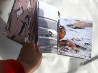 Image 4 of Antarctica - A Creative Journey (Book)