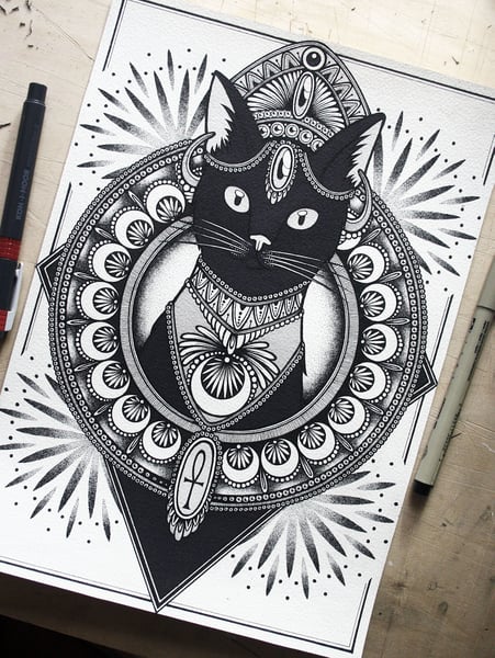 Image of Black cat