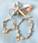 Image 1 of Collar y/o pulsera/tobillera conchas