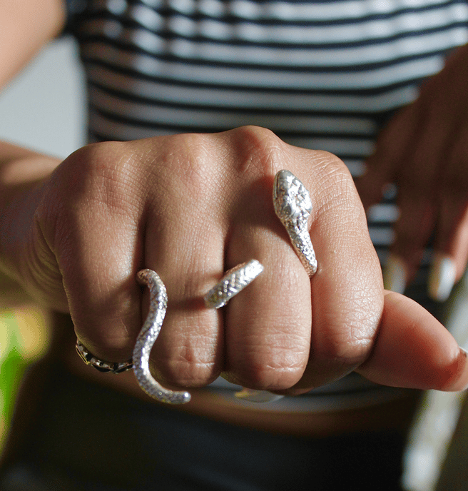 Image of Double Silver Snake Ring