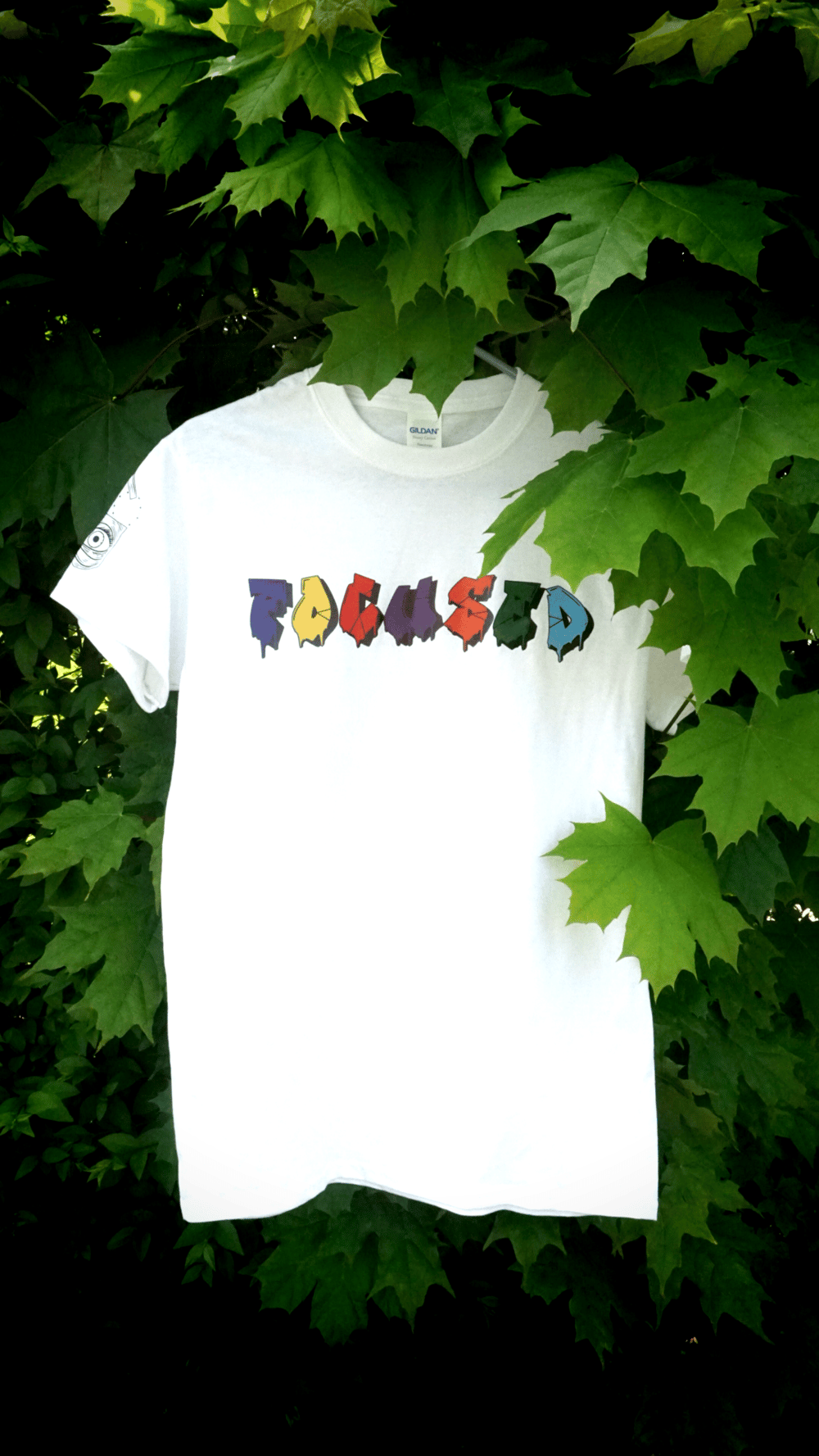 Summer Set 1