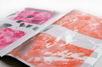 Image 3 of Drunk Complexions