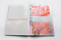 Image 4 of Drunk Complexions