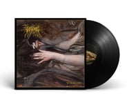 Image 2 of LASCAR – Wildlife | VINYL LP (black ltd. 200)