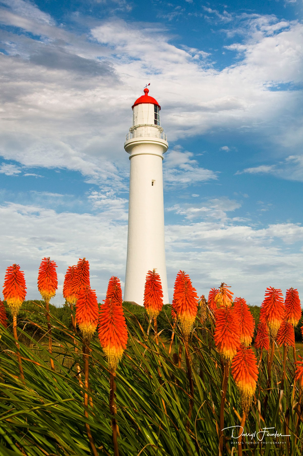 Image of Split Point Pokers, Airey's Inlet