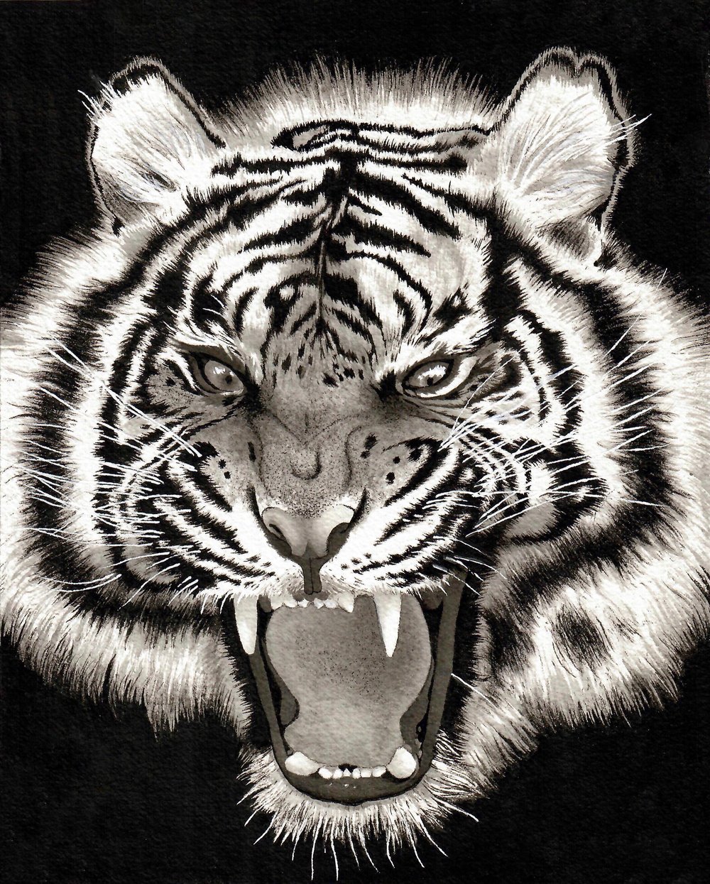 Image of Angry Tiger Watercolor Painting 