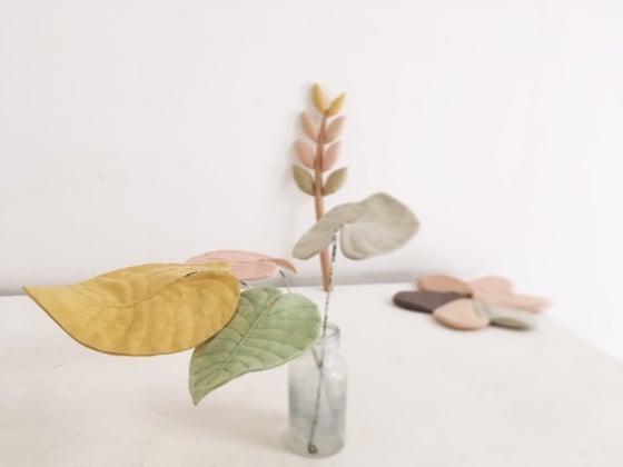 Image of cocon leaf (vegetable dye serie)