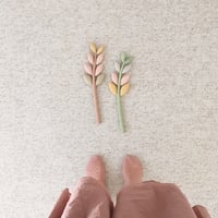 Image 4 of cocon zamioculcas (vegetable dye serie)