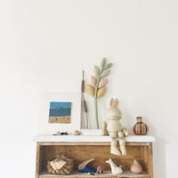 Image 3 of cocon zamioculcas (vegetable dye serie)