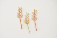 Image 1 of cocon zamioculcas (vegetable dye serie)