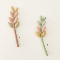 Image 2 of cocon zamioculcas (vegetable dye serie)