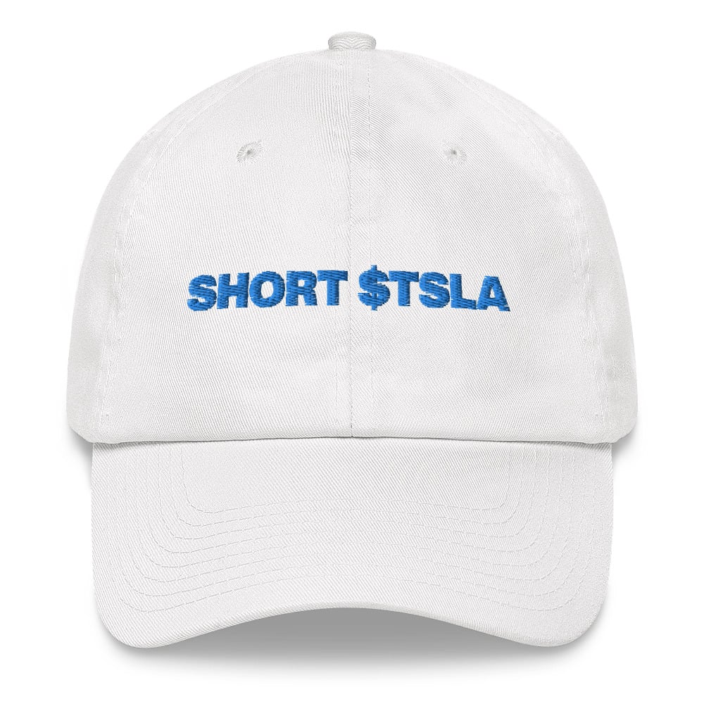 tesla dad hat