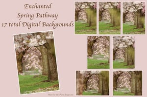 Image of Enchanted Spring Pathway Digital Backgrounds 