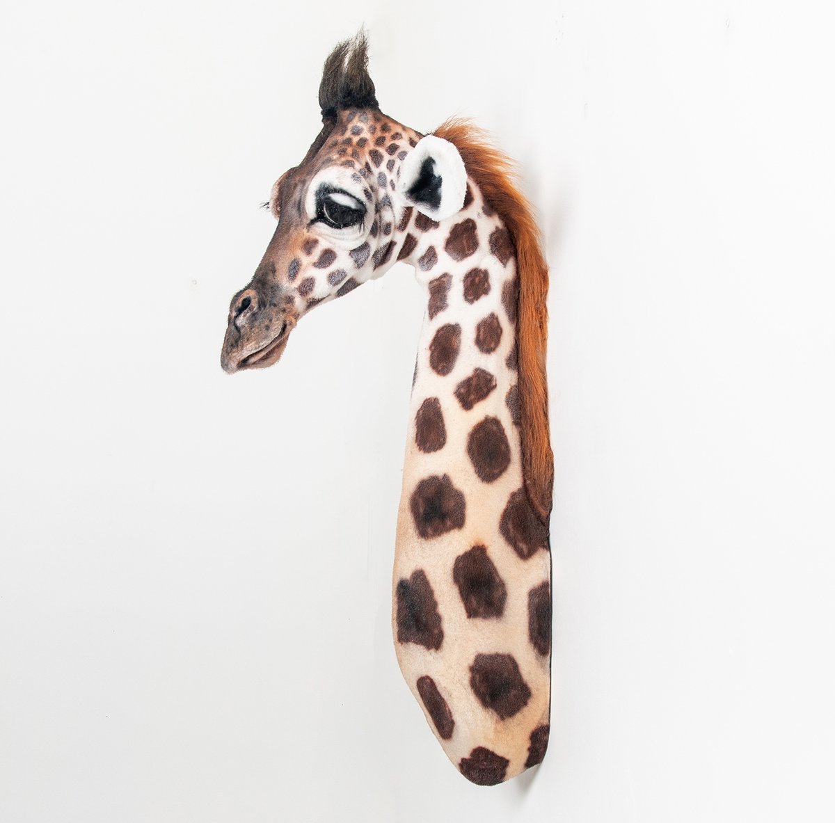 Image of Baby Giraffe Sculpture