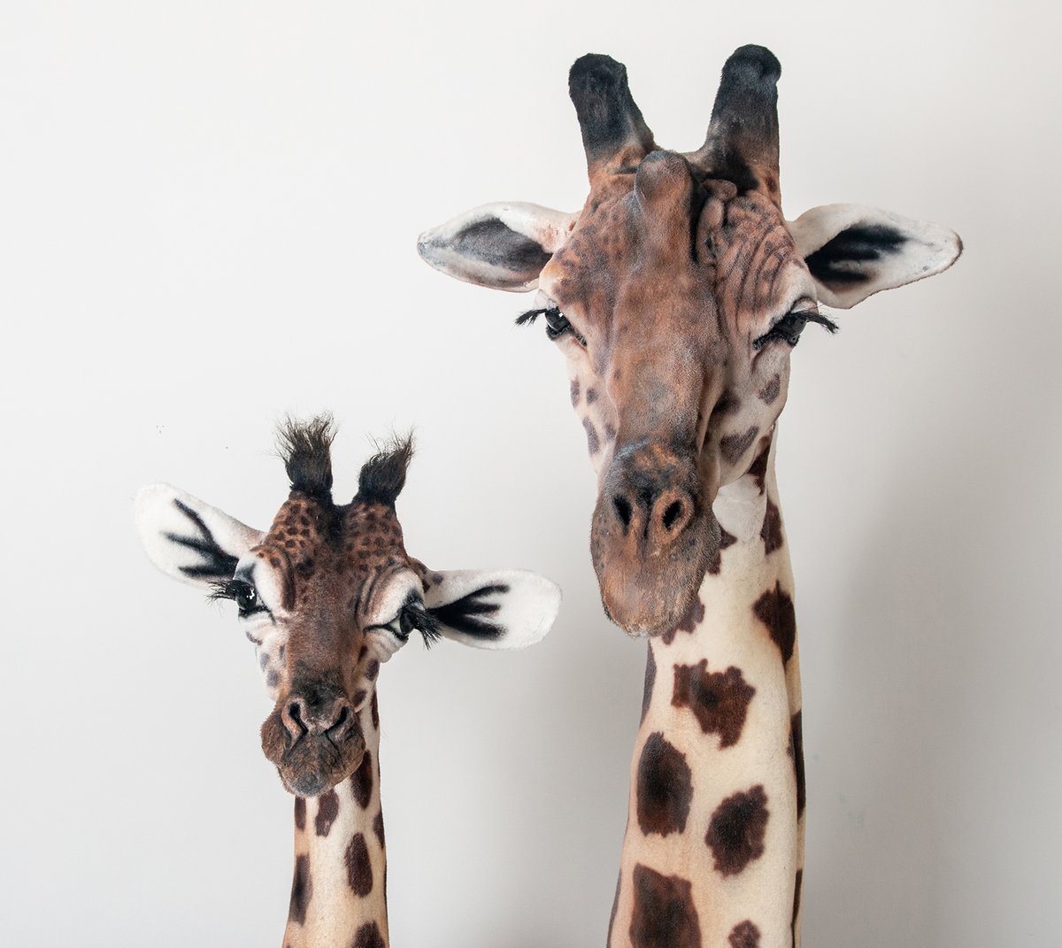 Image of Baby Giraffe Sculpture