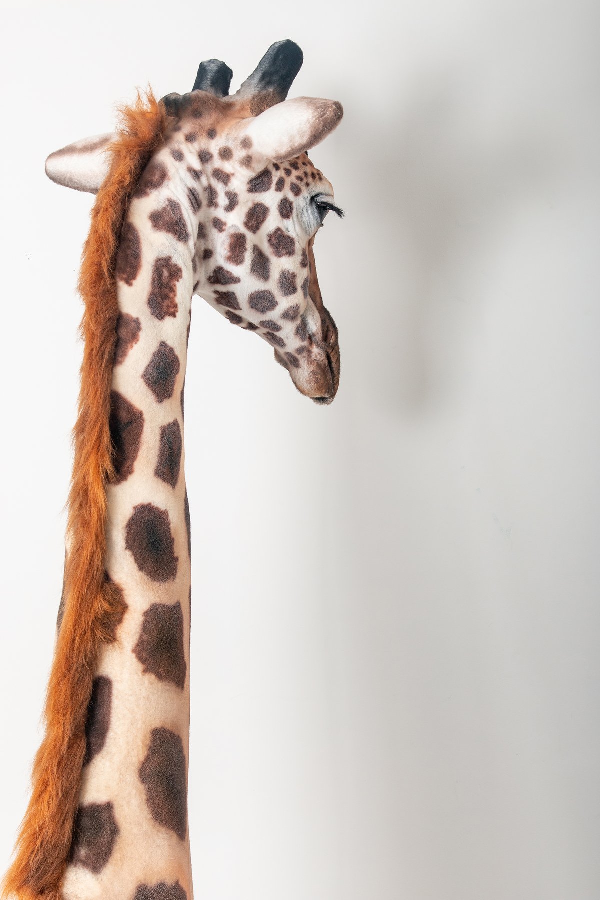 Image of Giraffe Sculpture