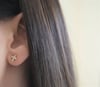 Studs Earrings  