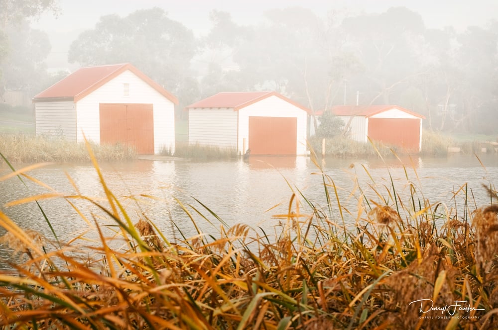 Image of Boat Sheds, Anglesea River