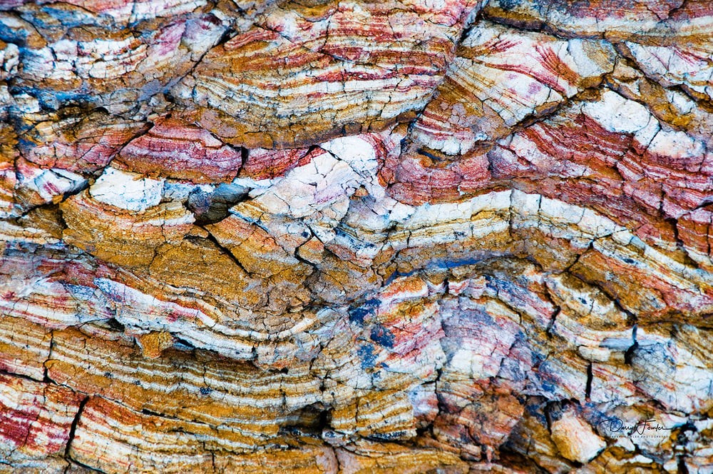 Image of Natures Graffiti, Urquhart's Bluff 