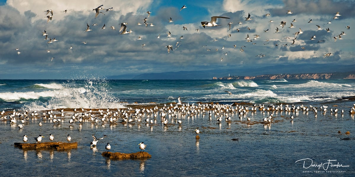 Image of Coastal Lighthouse View, Point Roadknight