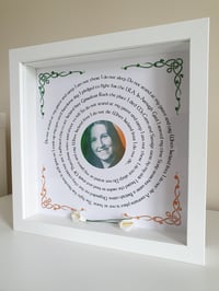 Image 1 of The Ballad of Mairéad Farrell box frame