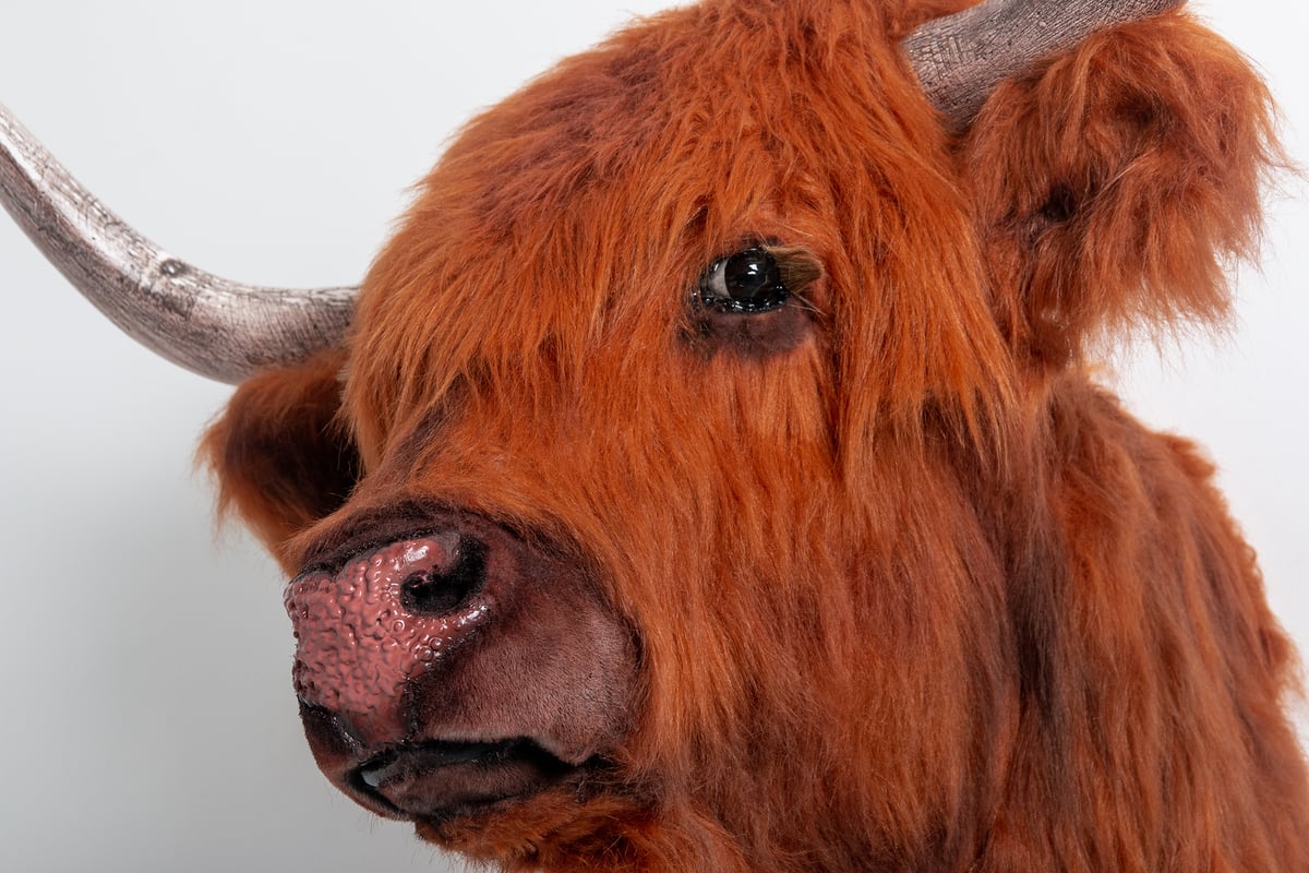Image of Highland Cow Sculpture