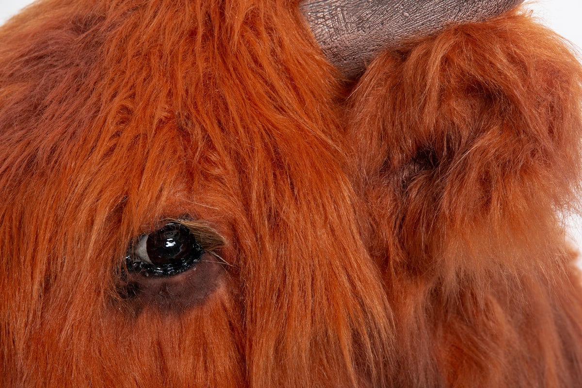 Image of Highland Cow Sculpture