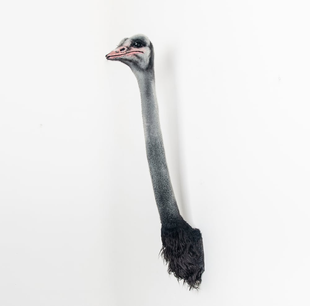 Image of Ostrich Sculpture