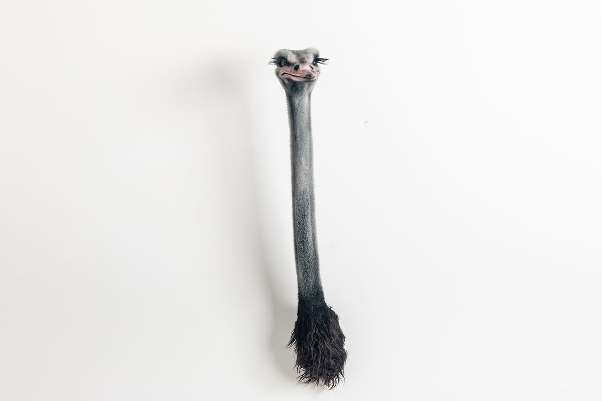 Image of Ostrich Sculpture