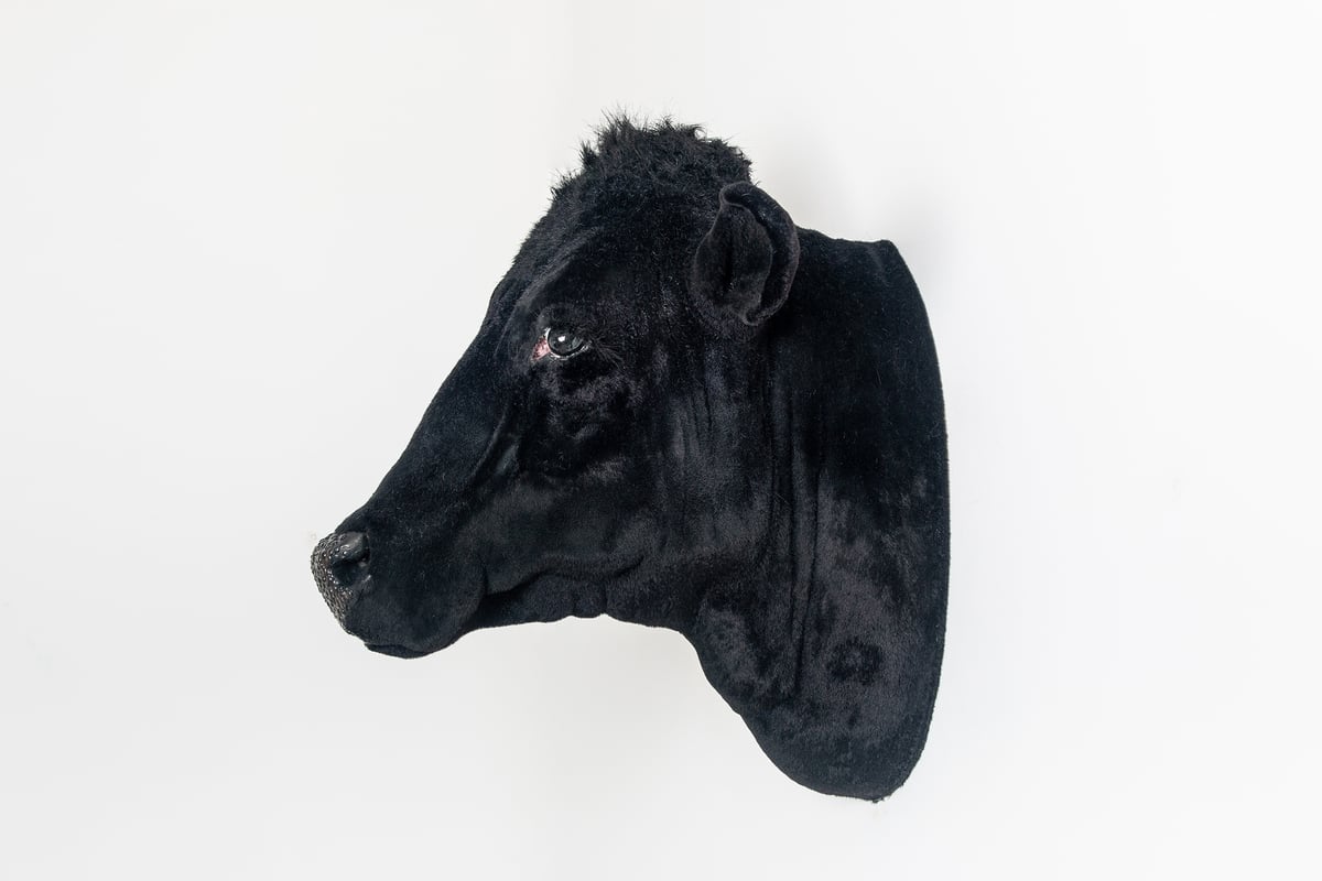 Image of Cow Sculpture
