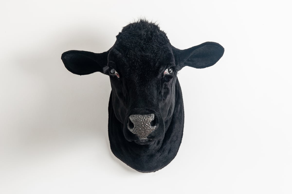 Image of Cow Sculpture