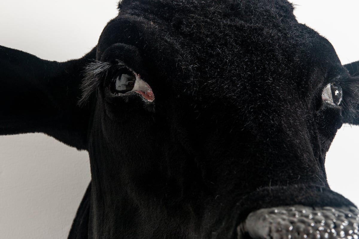 Image of Cow Sculpture