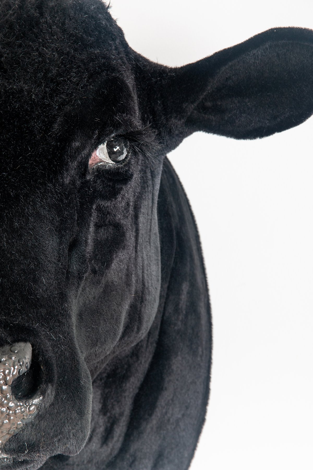 Image of Cow Sculpture