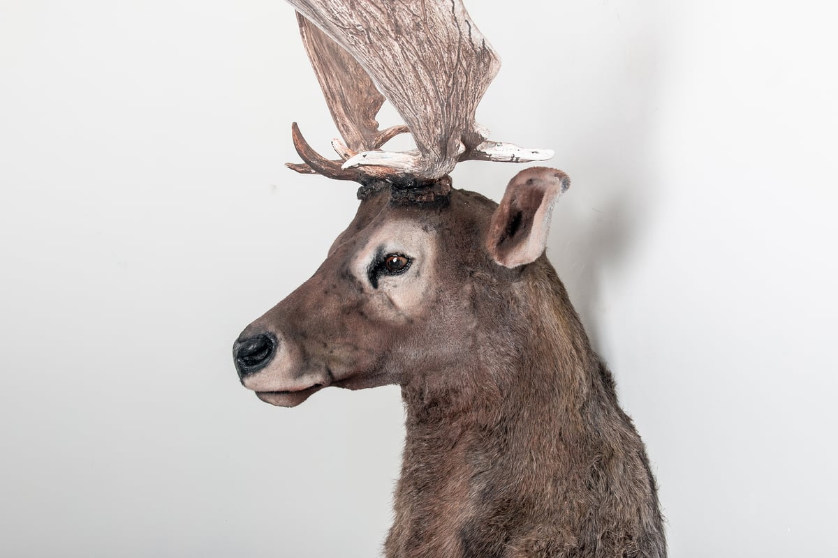 Image of Grand Stag Sculpture