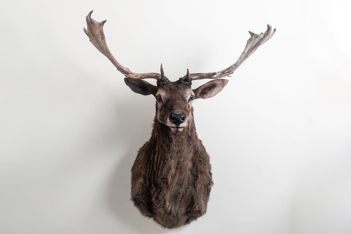 Image of Grand Stag Sculpture