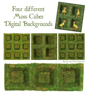 Image of Moss Cubes Digital Backgrounds